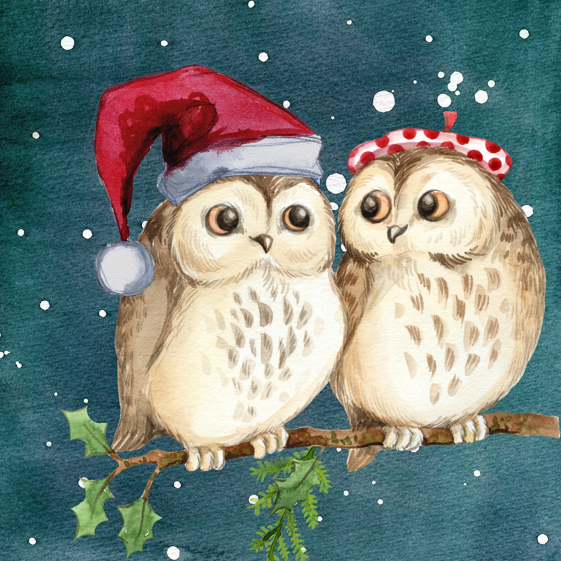 Two cute owls in Christmas attire