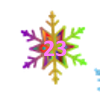 Snowflake-23