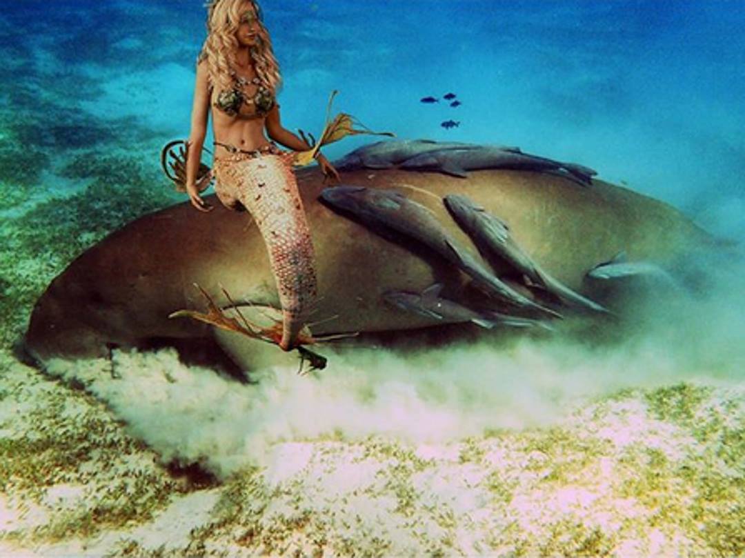 Mermaid and dugong