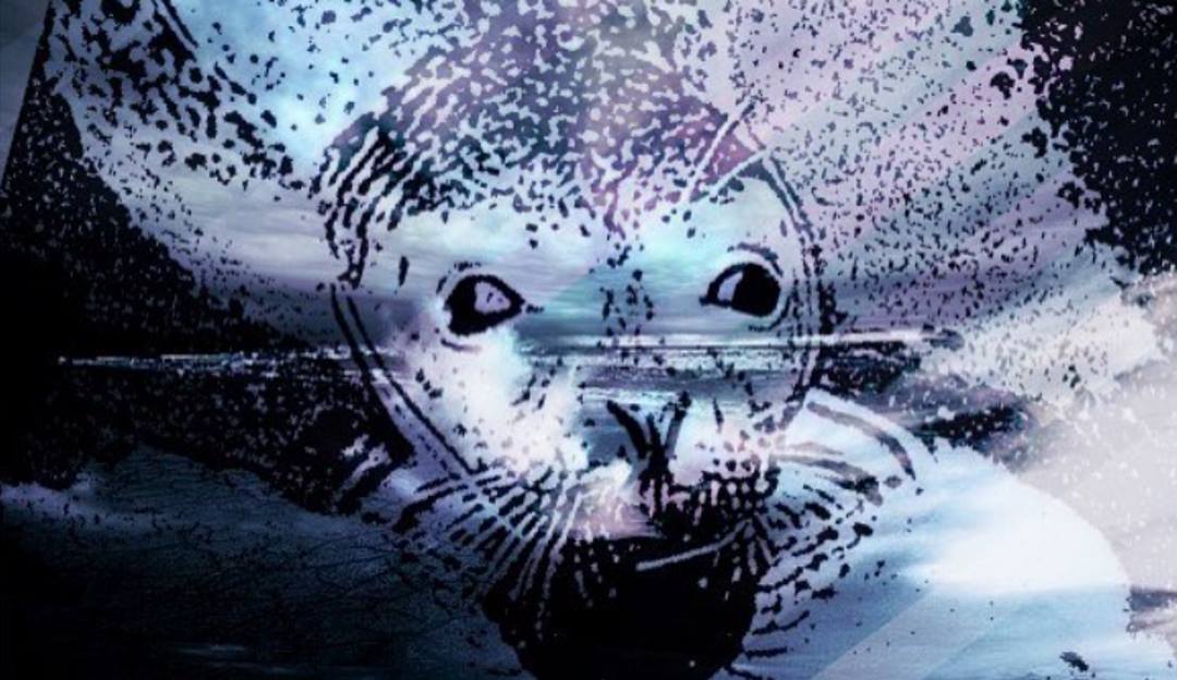 Seal mermaid