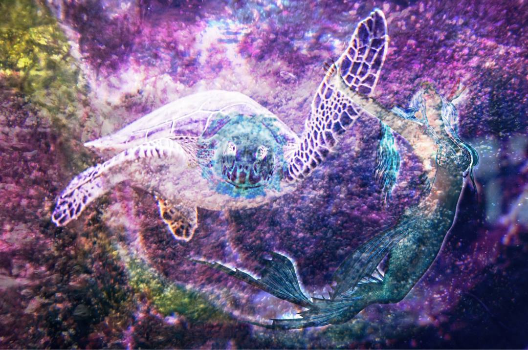 Mermaid turtle dancing